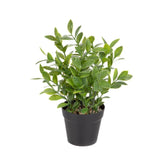 Homla Artificial Donate Plant Artificial     23 Cm